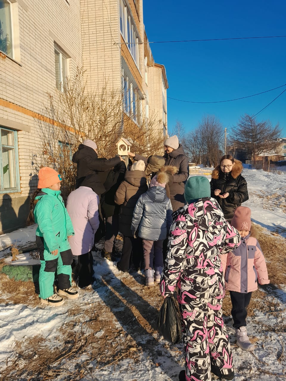 день синичек 4