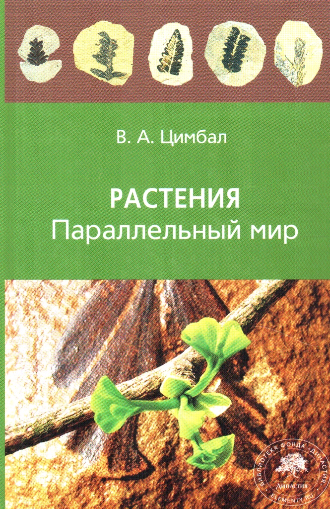 Птицы