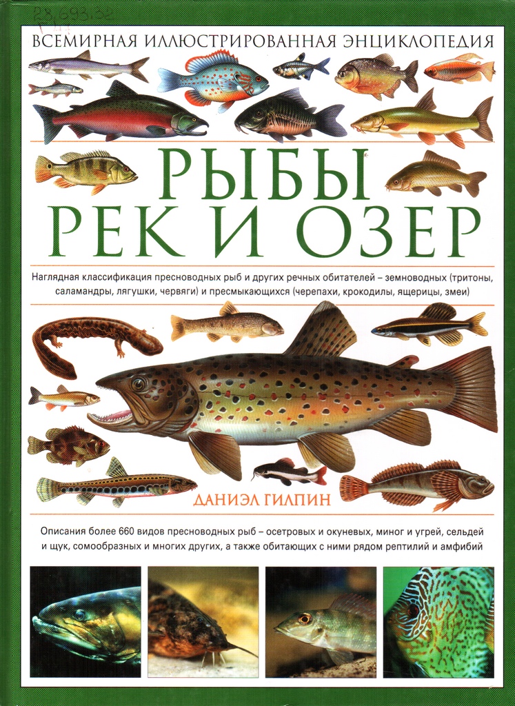 Рыбы