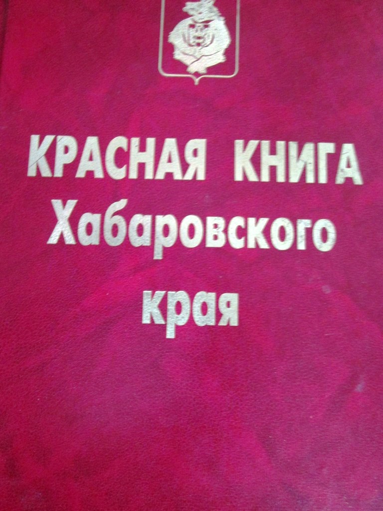 Экочас в городской библиотеке - Николаевская районная библиотека