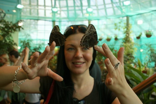 Музей бабочек 