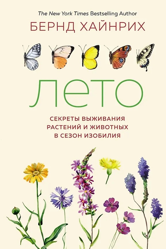Leto